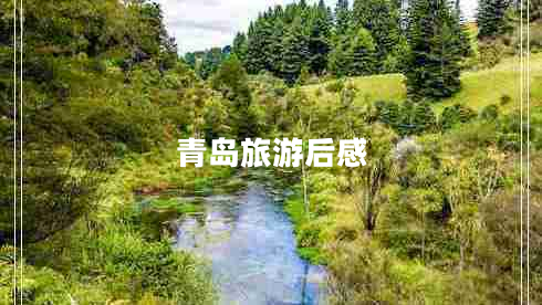 青島旅游后感 青島旅游后感