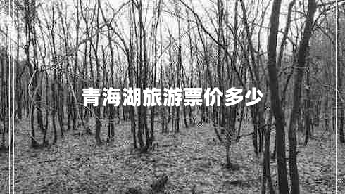 青海湖旅游票價(jià)多少