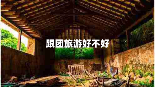 跟團(tuán)旅游好不好 跟團(tuán)旅游好不好