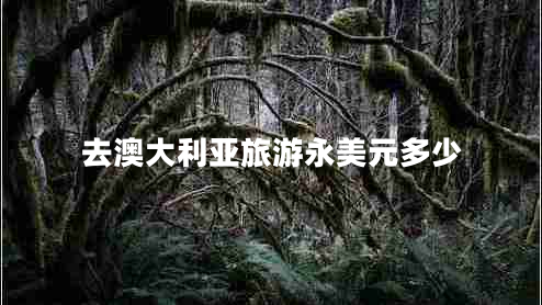 去澳大利亞旅游永美元多少