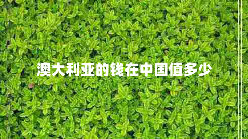 澳大利亞的錢(qián)在中國(guó)值多少