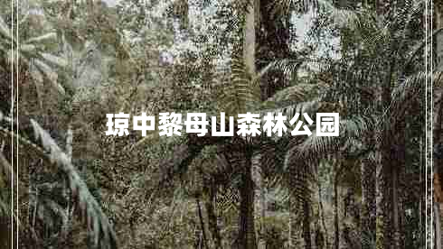 瓊中黎母山森林公園