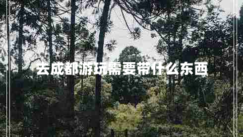 去成都游玩需要帶什么東西
