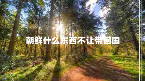 朝鮮什么東西不讓帶回國(guó)