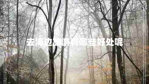 去海邊旅游有哪些好處呢 去海邊旅游有哪些好處呢