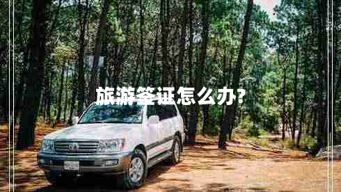 旅游簽證怎么辦? 旅游簽證怎么辦?