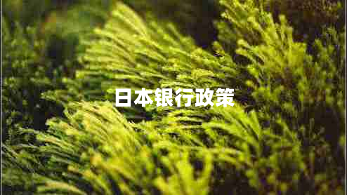 日本銀行政策 日本銀行政策