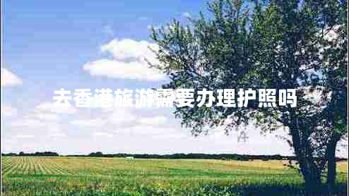 去香港旅游需要辦理護(hù)照嗎