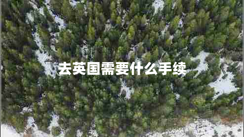 去英國(guó)需要什么手續(xù)