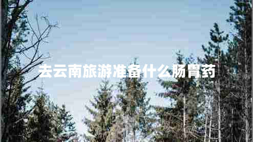 去云南旅游準(zhǔn)備什么腸胃藥 去云南旅游準(zhǔn)備什么腸胃藥