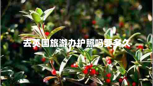 去英國旅游辦護照嗎要多久 去英國旅游辦護照嗎要多久