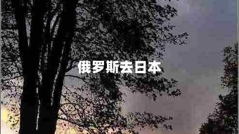 俄羅斯去日本 俄羅斯去日本
