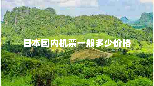 日本國內(nèi)機票一般多少價格 日本國內(nèi)機票一般多少價格