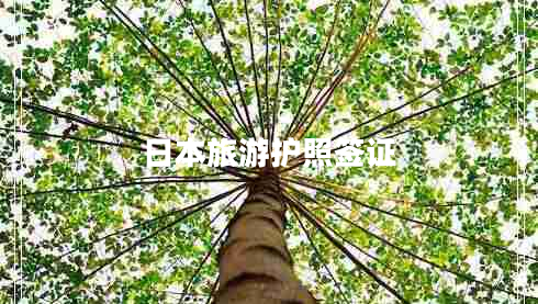 日本旅游護照簽證