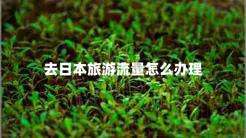 去日本旅游流量怎么辦理