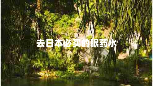 去日本必買的眼藥水 去日本必買的眼藥水