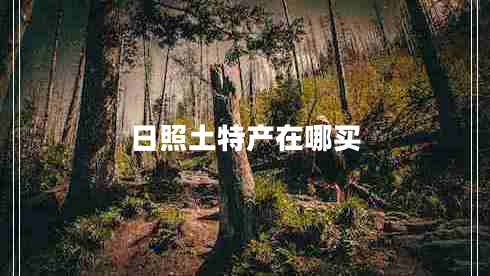 日照土特產(chǎn)在哪買(mǎi)