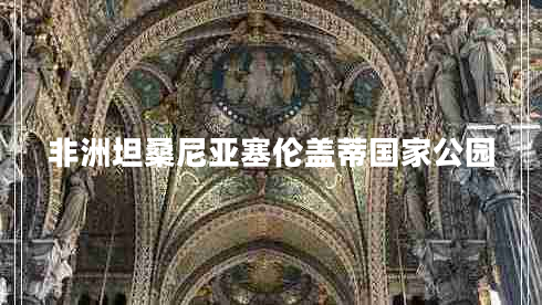 非洲坦桑尼亞塞倫蓋蒂國(guó)家公園