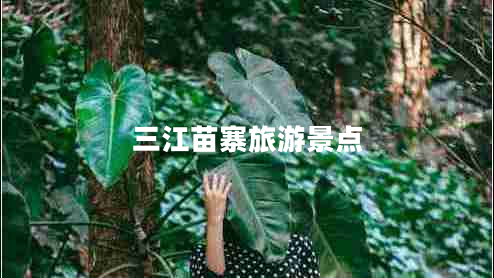 三江苗寨旅游景點(diǎn) 三江苗寨旅游景點(diǎn)