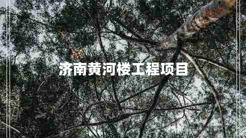 濟(jì)南黃河樓工程項(xiàng)目