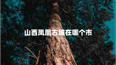 山西鳳凰古城在哪個市 山西鳳凰古城在哪個市