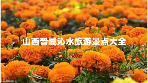 山西晉城沁水旅游景點(diǎn)大全