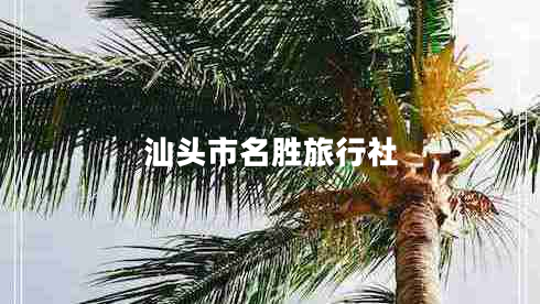汕頭市名勝旅行社
