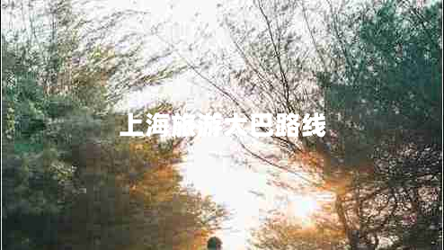 上海旅游大巴路線