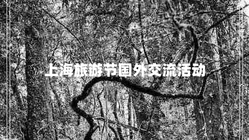 上海旅游節(jié)國外交流活動(dòng)