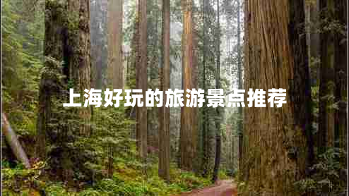 上海好玩的旅游景點(diǎn)推薦 上海好玩的旅游景點(diǎn)推薦