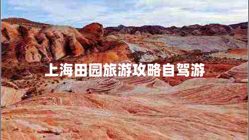 上海田園旅游攻略自駕游