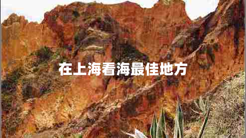 在上海看海最佳地方