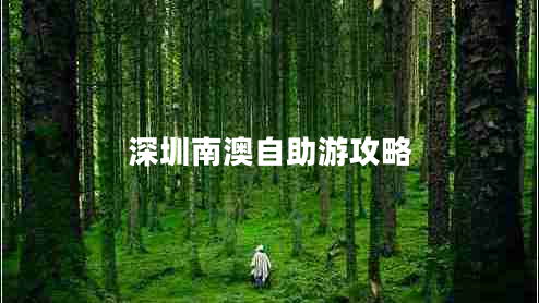 深圳南澳自助游攻略 深圳南澳自助游攻略