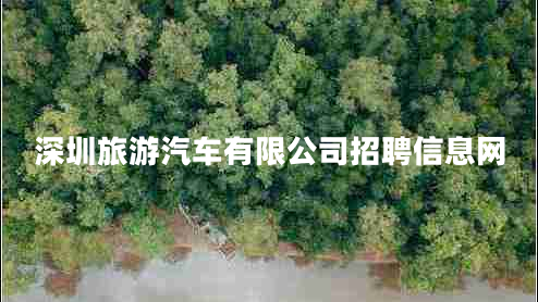 深圳旅游汽車有限公司招聘信息網(wǎng)