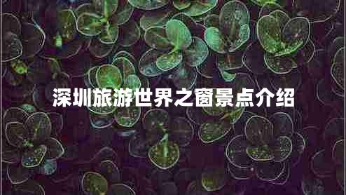深圳旅游世界之窗景點(diǎn)介紹