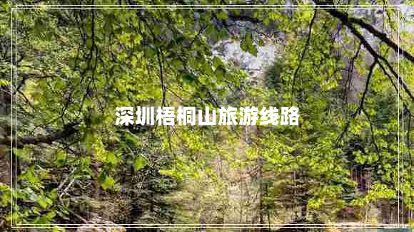 深圳梧桐山旅游線(xiàn)路