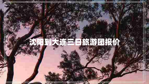 沈陽到大連三日旅游團報價