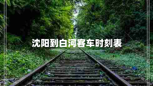 沈陽到白河客車時(shí)刻表 沈陽到白河客車時(shí)刻表