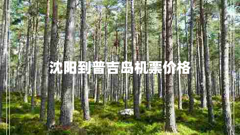 沈陽到普吉島機票價格