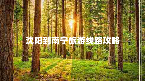 沈陽到南寧旅游線路攻略