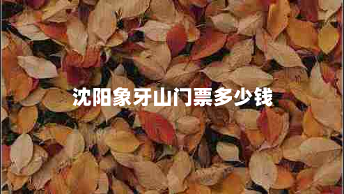 沈陽象牙山門票多少錢