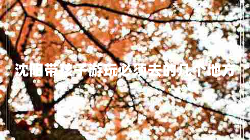 沈陽帶孩子游玩必須去的幾個(gè)地方