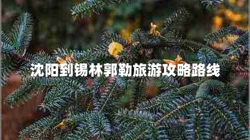 沈陽(yáng)到錫林郭勒旅游攻略路線
