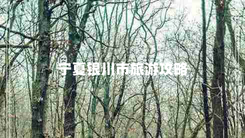 寧夏銀川市旅游攻略
