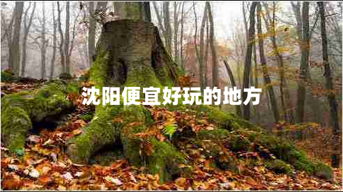 沈陽便宜好玩的地方 沈陽便宜好玩的地方