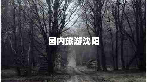 國內(nèi)旅游沈陽