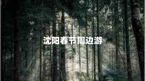 沈陽春節(jié)周邊游 沈陽春節(jié)周邊游