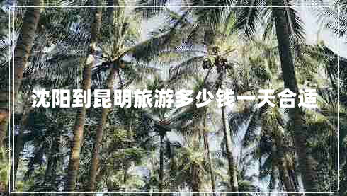 沈陽(yáng)到昆明旅游多少錢一天合適 沈陽(yáng)到昆明旅游多少錢一天合適