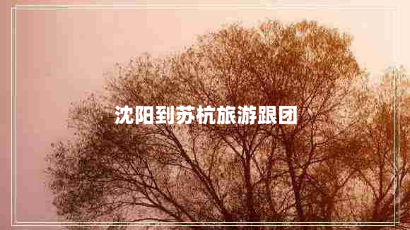 沈陽(yáng)到蘇杭旅游跟團(tuán)