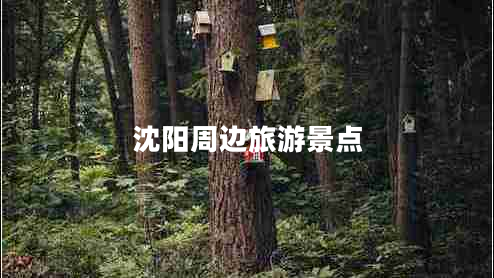 沈陽(yáng)周邊旅游景點(diǎn)